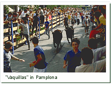 Vaquillas in Pamplona