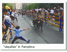 Vaquillas in Pamplona