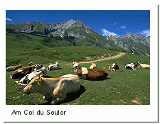 Am Col du Soulor